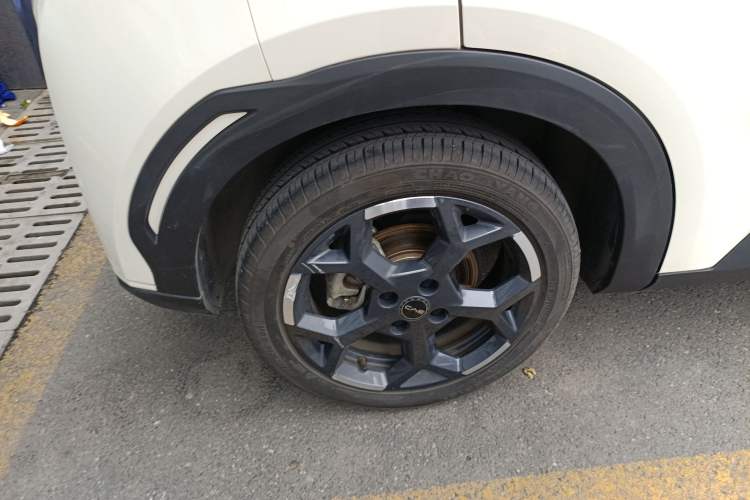 Used BYD Seagull 2025 305 km Free Version
