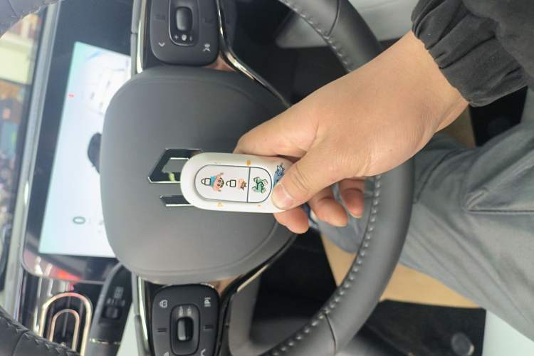 Used Leapmotor C01 2024 Pure Electric 525 Luxury Edition