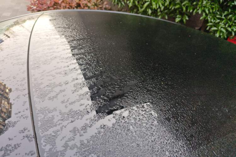 Used Tesla Model Y 2024 Rear-Wheel-Drive Version Roof