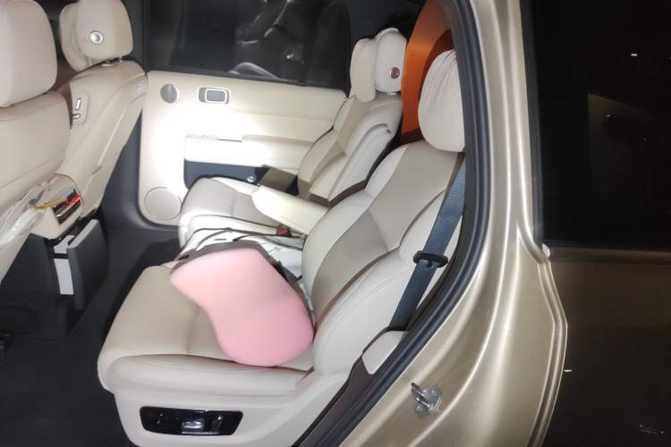 Used Li Auto L9 2023 Pro Model Left Rear Seat