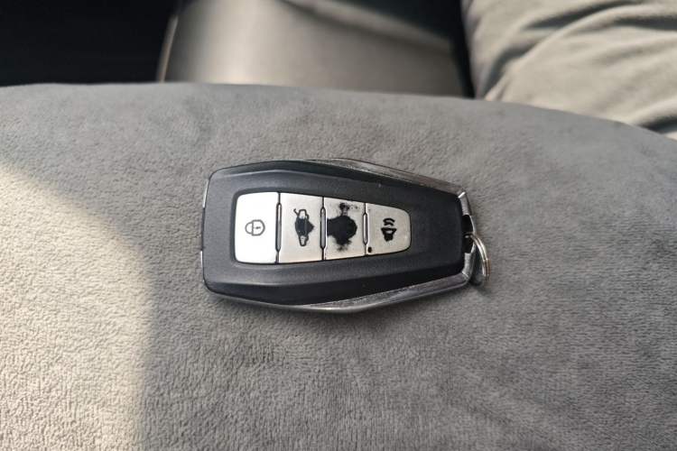 Used Geometry E Firefly 2022 401 km Linglong Tiger 4 Seats
