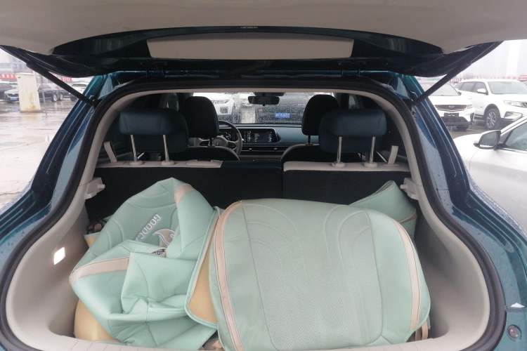 Used ORA Good Cat 2023 401 km Standard Range Luxury Version Lithium Iron Phosphate
