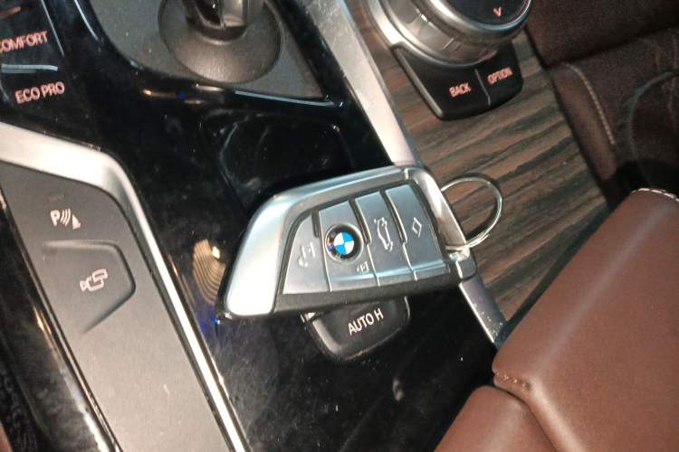 Used BMW 5 Series 2020 530Li Luxury Edition Premium Package Vehicle Key