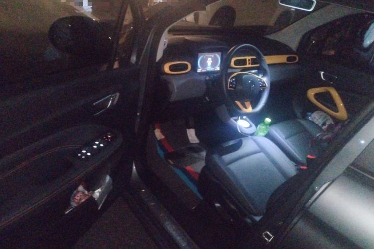 Used Leapmotor T03 2020 400 Luxury Edition