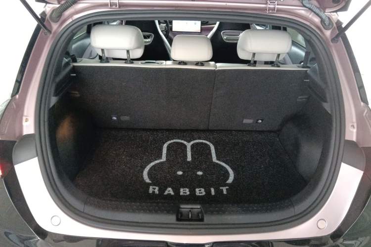 Used BYD Dolphin 2024 Honor Edition 420km Fashion Version