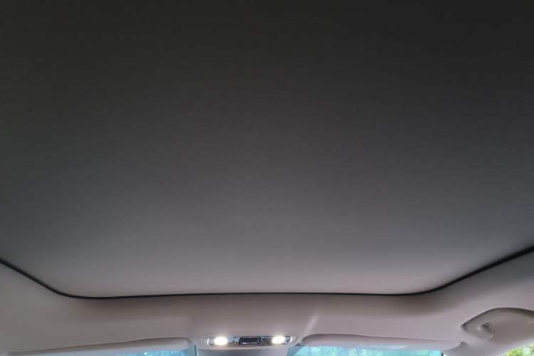 Used Leapmotor C11 2024 Range-Extended 300 Luxury Edition
