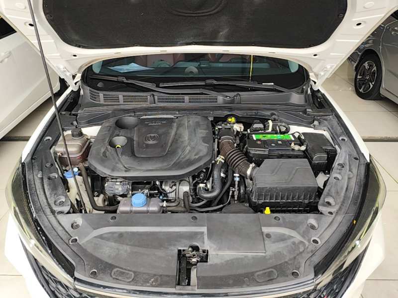 Used CHANGAN Eado 2020 PLUS Blue Whale NE 1.4T GDI DCT Flagship Model — 19
