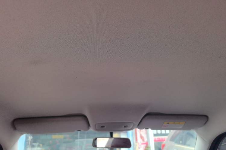 Used Leapmotor T03 2021 400 Micro-Sugar Version Headliner