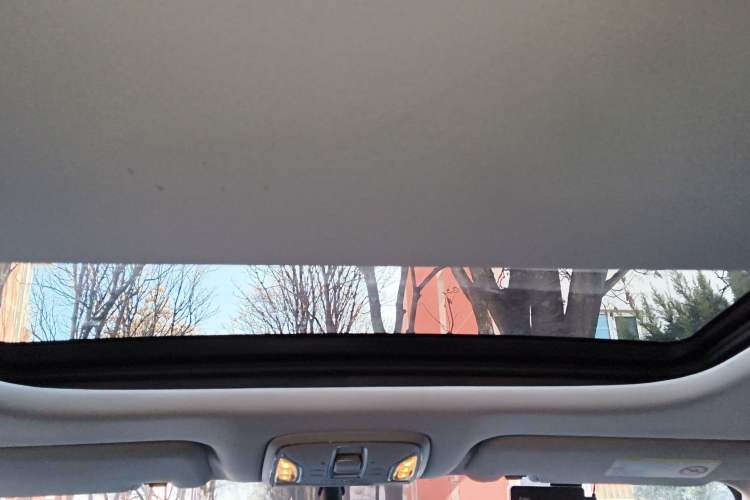 Used AION S 2019 Meizu Evo 630 Headliner