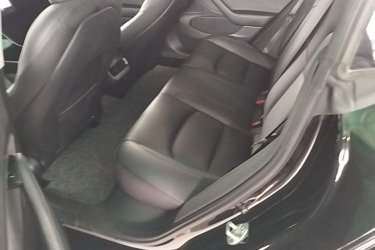 Used Tesla Model 3 2020 Revised Version Standard Range Rear-Wheel Drive – Upgraded Edition