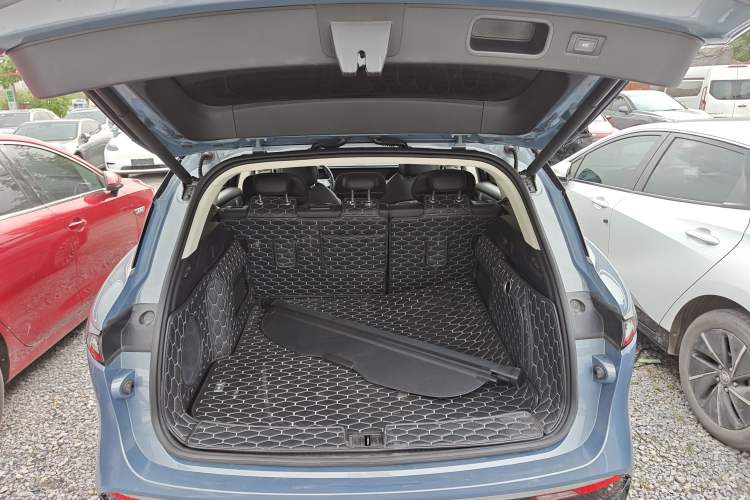 Used VOYAH FREE 2021 Four-Wheel Drive Standard All-Electric Exclusive Luxury Package