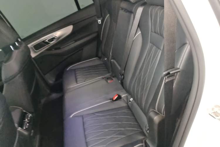 Used GAC Trumpchi GS8 2025 Linghang Series 2.0 TGDI Two-Wheel-Drive Luxury Edition 5 Seats Left Rear Seat