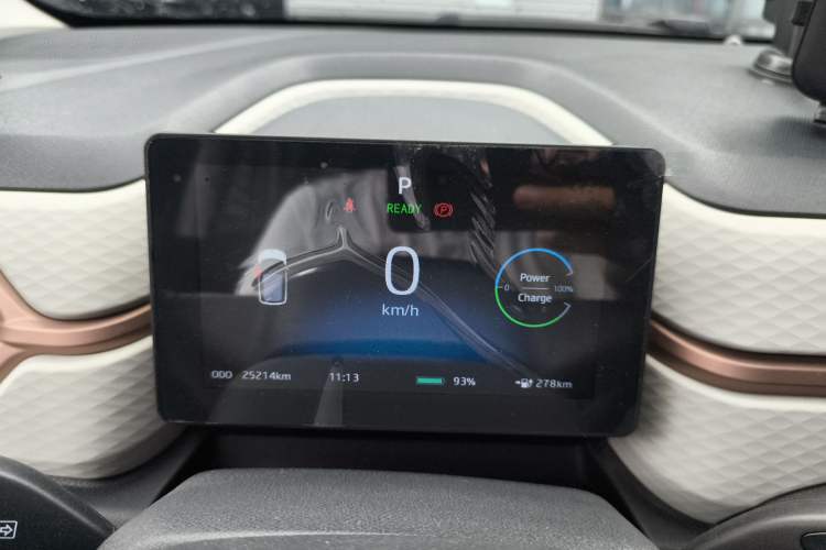 Used SOL E10X 2022 Flower Fairy Style Baby's Breath