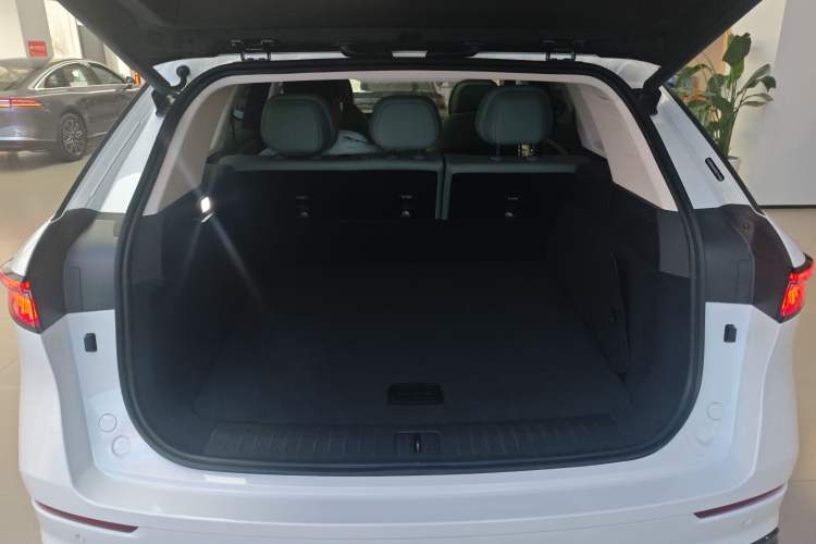 Used Chery Fengyun T10 2024 210 Luxury Edition
