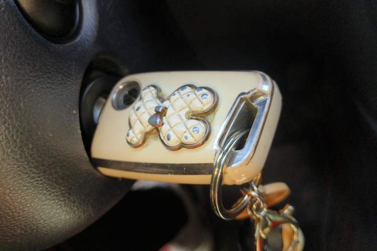 Used Volkswagen Golf 2019 280TSI DSG Comfort Version China V Standard