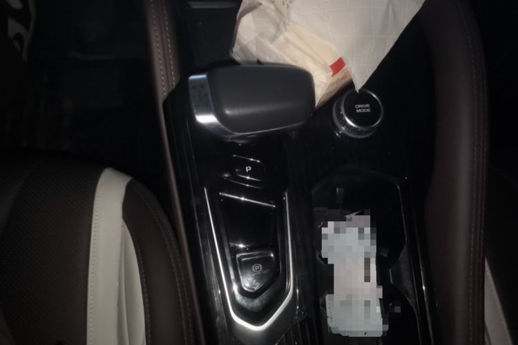 Used Geely Auto Monjaro L 2021 2.0TD High-Power Automatic All-Wheel-Drive Flagship Version Gear Lever