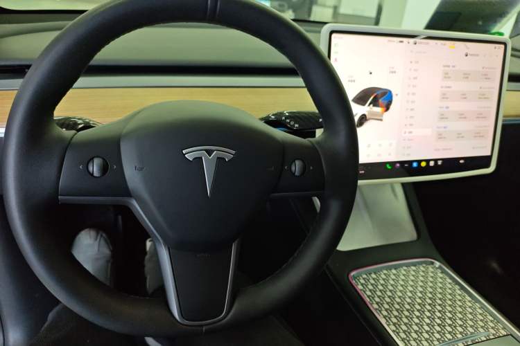 Used Tesla Model Y 2021 Standard Range Rear-Wheel Drive Version Center Console