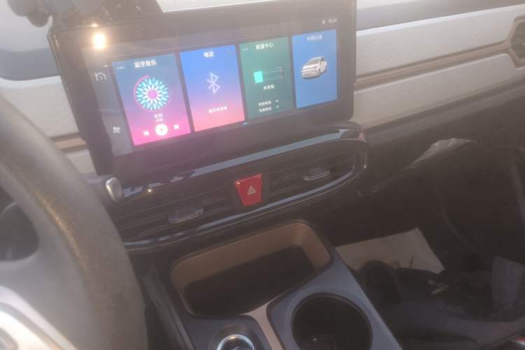 Used SOL E10X 2022 Flower Fairy Design Four-Leaf Clover
