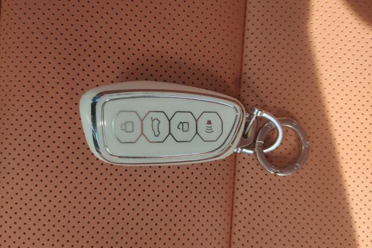 Used Haval H Dog New Energy 2024 Hi4 102km Trend Electric Version Plus