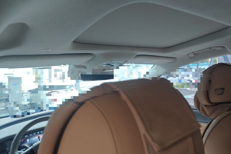 Used Denza D9 2022 DM-i 970 Four-Wheel Drive Flagship Model Headliner