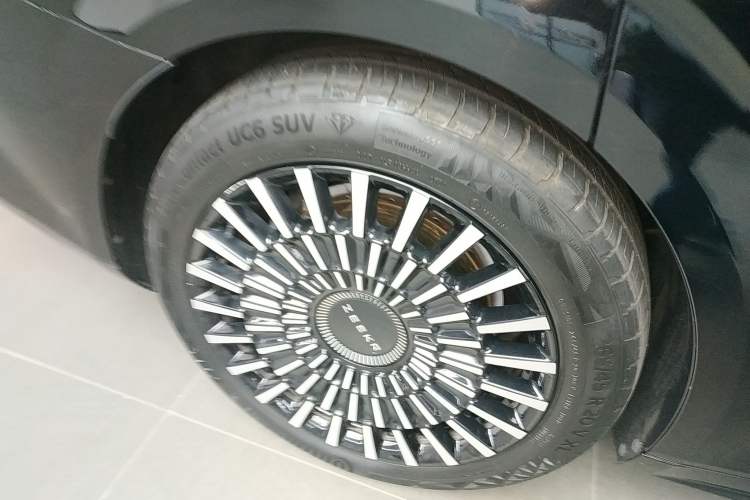 Used Zeekr 009 2022 WE Edition Exterior 5