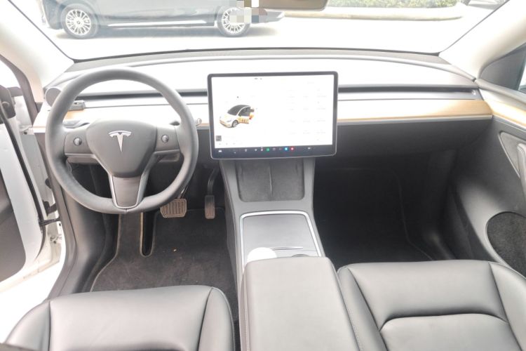 Used Tesla Model Y 2021 Standard Range Rear-Wheel Drive Version
