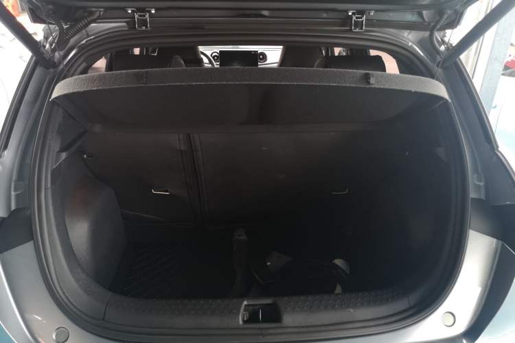 Used BYD Dolphin 2021 405 km Free Version