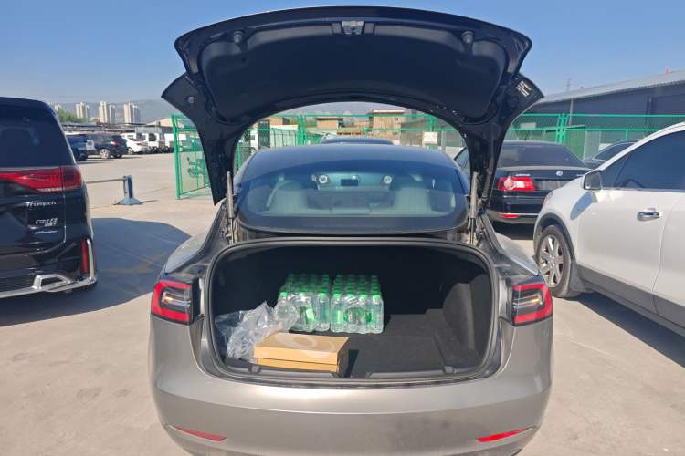 Used Tesla Model 3 2019 Standard Range Rear-Drive Upgraded Version