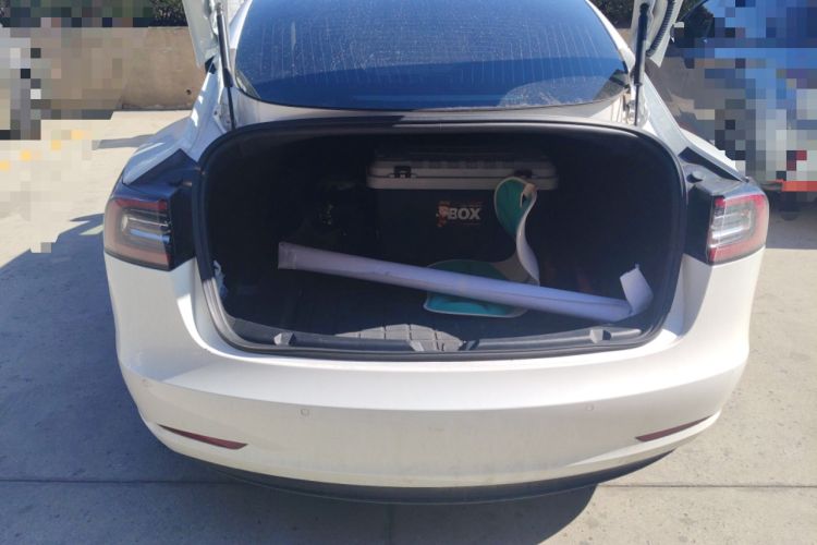 Used Tesla Model 3 2019 Standard Range Rear-Drive Upgraded Version
