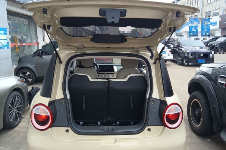 Used Qiyuan Lumin 2022 210km Sweet Edition