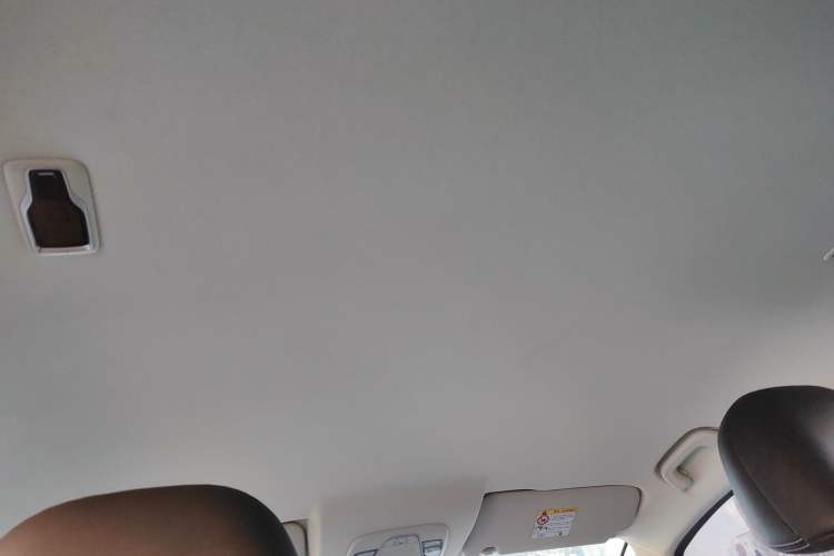 Used Livan Maple 80V 2021 Easy-Drive Version Lithium-Ion
