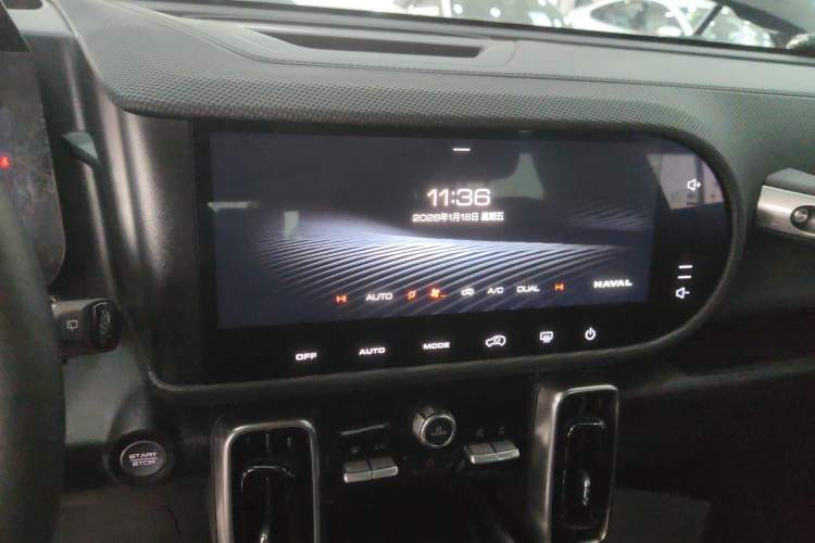 Used Haval DARGO 2024 2.0T DCT Chinese Rural Dog Edition
