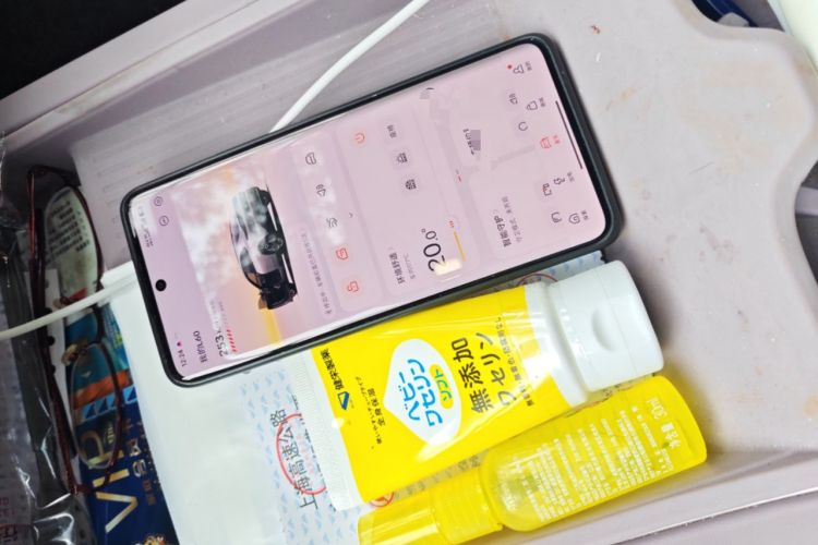 Used ONVO L60 2024 60 kWh Rear-Drive Version
