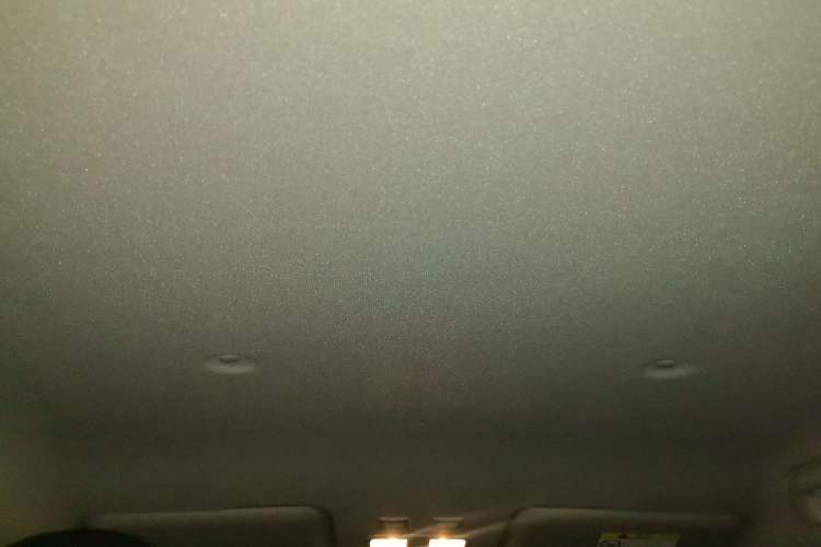 Used ORA White Cat 2020 401 km Flagship Version Headliner