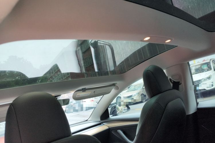 Used Tesla Model 3 2022 Rear-Wheel-Drive Version Headliner