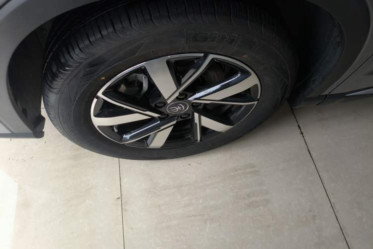 Used BYD Song Pro New Energy 2023 Champion Edition DM-i 71KM Navigation Model Exterior 4