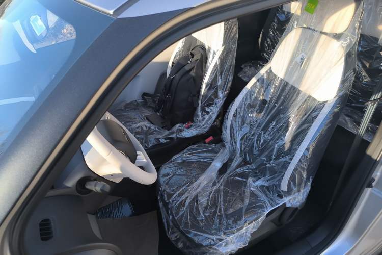 Used Qiyuan Lumin 2026 Model Treasure Edition 205km Passionate Beige Ningde
