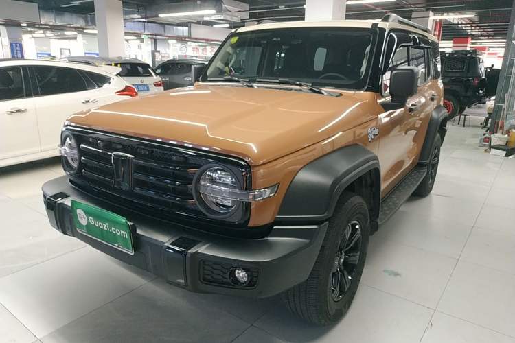 Used Tank 300 2024 2.0T Conqueror