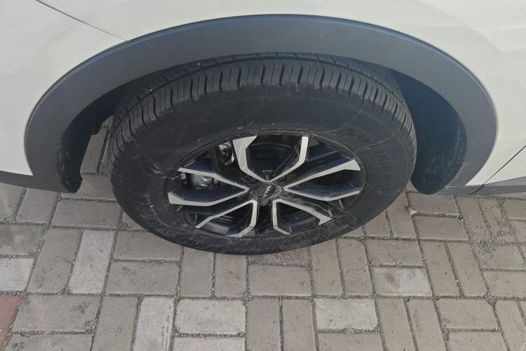 Used Haval H6 2021 National Trend Edition 1.5T Automatic Urban Version