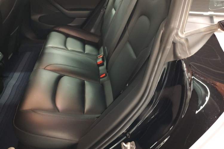 Used Tesla Model 3 2022 Rear-Wheel-Drive Version Left Rear Seat