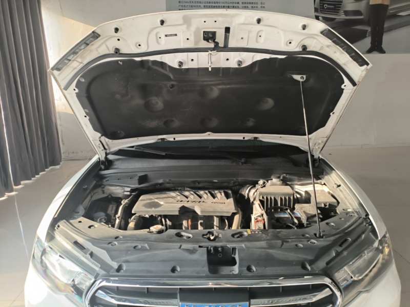 Used Haval H6 Coupe 2018 Blue Label 1.5T Automatic Two-Wheel Drive Luxury Model — 19