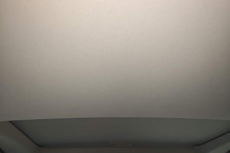 Used Lexus RX 2020 Revised Version 300 Two-Wheel Drive Comfort Edition Headliner