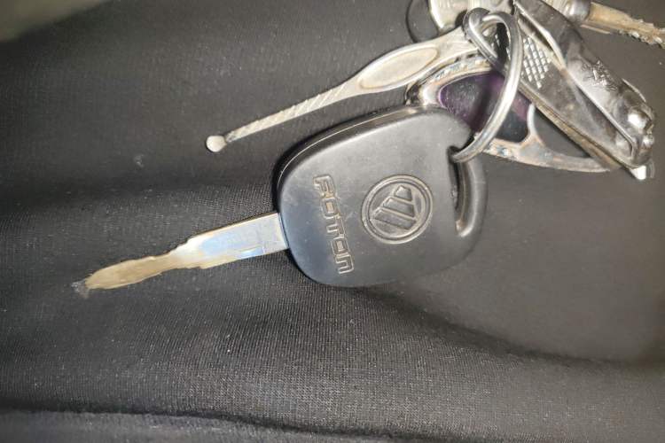 Used Foton Scenic V3 
