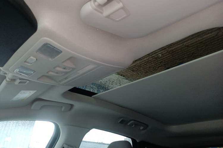 Used Ford Escape 2020 EcoBoost 245 Four-Wheel Drive Luxury Edition
