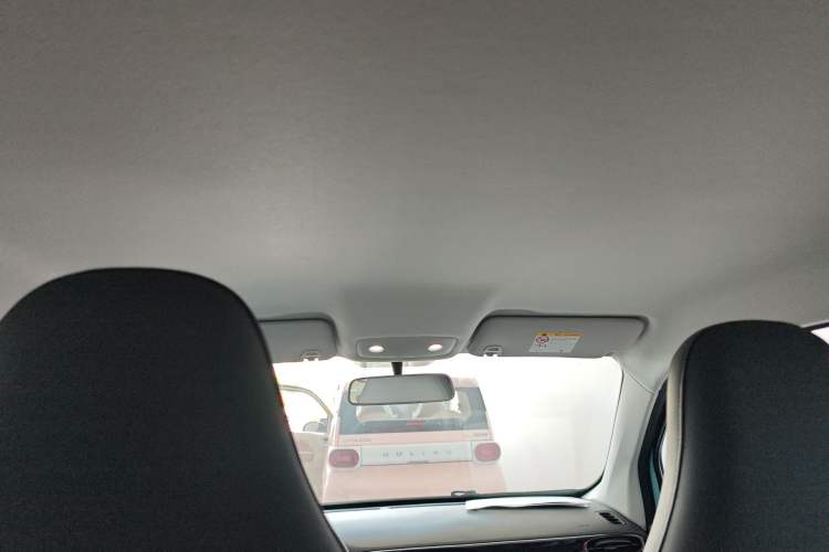 Used Leapmotor T03 2025 403 Comfort Edition Headliner