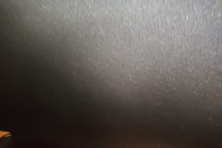 Used Ford Mustang 2017 2.3T Performance Edition