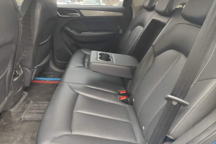 Used Roewe RX5 2018 20T Two-Wheel Drive Automatic Flagship Edition Left Rear Seat