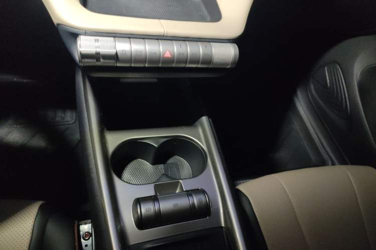 Used BYD Dolphin 2025 420km Free Edition Gear Lever