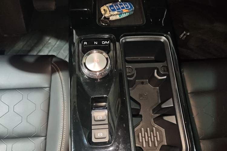 Used Haval DARGO 2021 2.0T DCT 4x4 Chinese Rural Dog Edition
