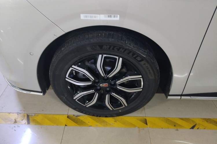 Used Hongqi HQ9 2023 2.0T Smart Connect Flagship Edition